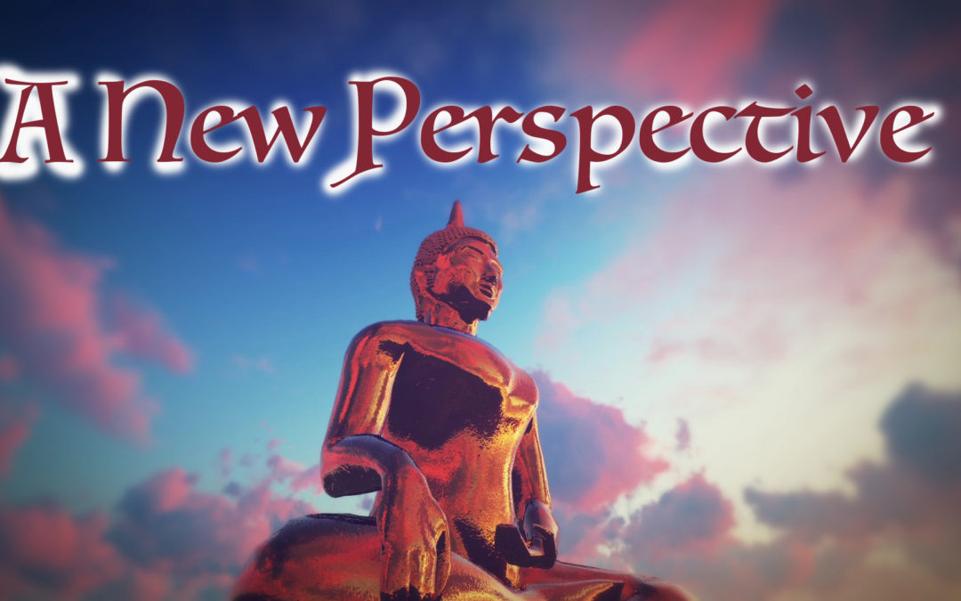 A New Perspective – First Video